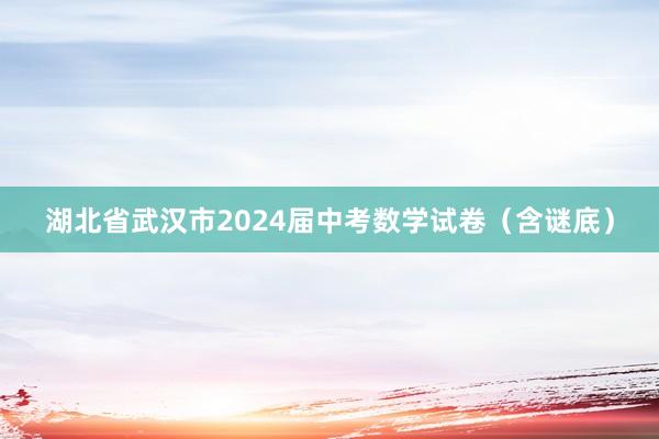 湖北省武汉市2024届中考数学试卷（含谜底）
