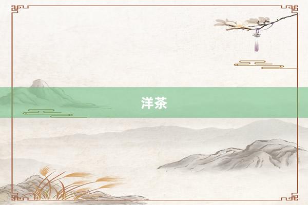 洋茶