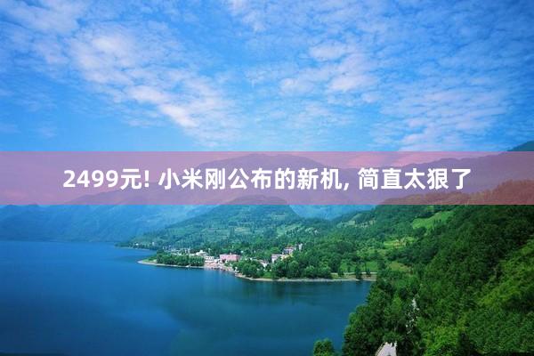 2499元! 小米刚公布的新机, 简直太狠了