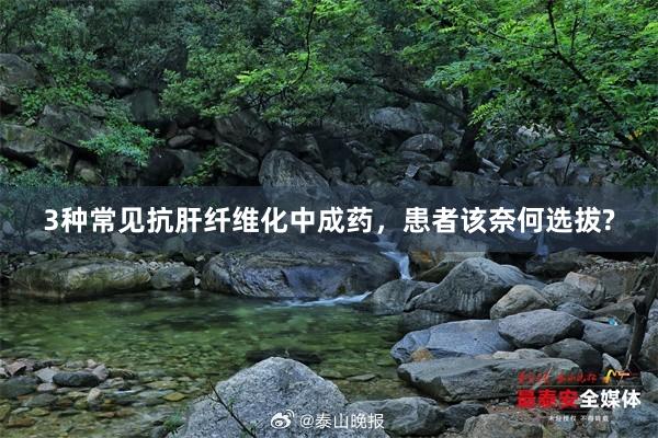 3种常见抗肝纤维化中成药,患者该奈何选拔?