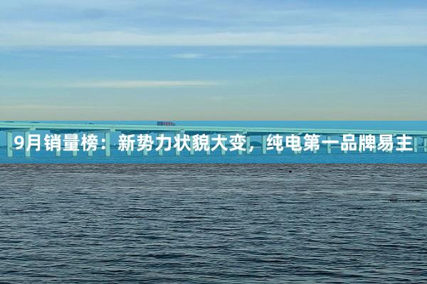 9月销量榜：新势力状貌大变，纯电第一品牌易主
