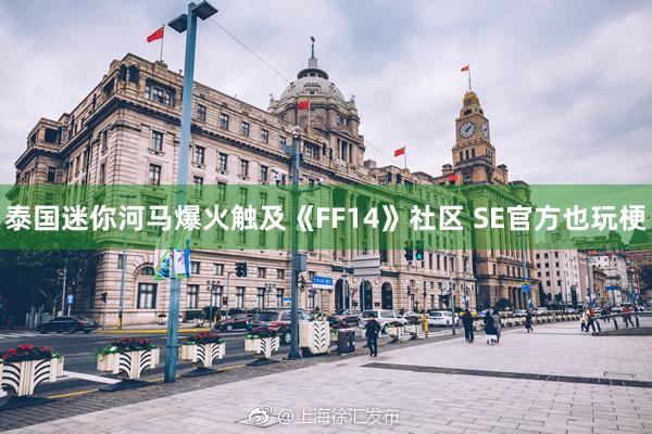 泰国迷你河马爆火触及《FF14》社区 SE官方也玩梗