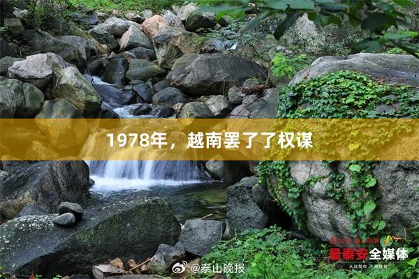 1978年，越南罢了了权谋
