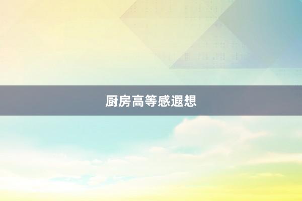 厨房高等感遐想
