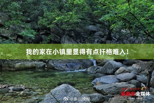 我的家在小镇里显得有点扞格难入！