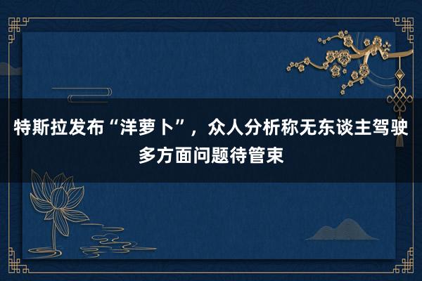 特斯拉发布“洋萝卜”，众人分析称无东谈主驾驶多方面问题待管束