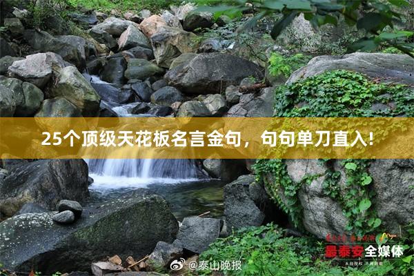 25个顶级天花板名言金句，句句单刀直入!